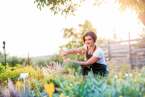 Healthy green lawn care in Wembley with neat grass and garden edges