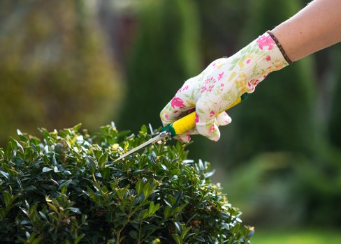 Safe gardening practices with tools and careful site awareness
