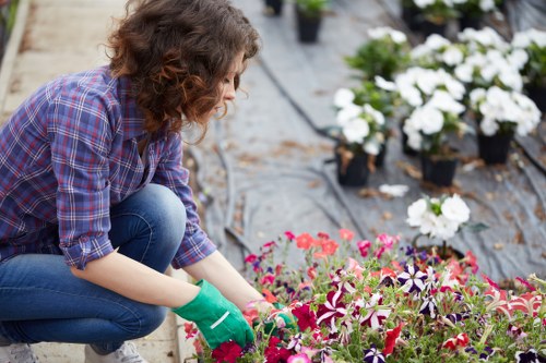 Local Wembley garden maintenance for lawns, hedges, and planting beds