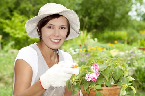 Professional Wembley garden maintenance with tidy hedges and planting