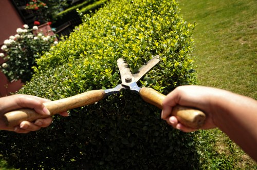 Charity reuse of garden items and materials