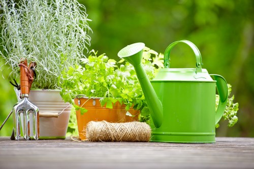 Neat lawn edges and trimmed grass in Wembley