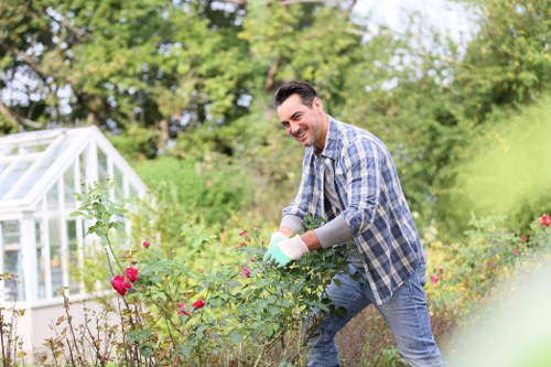 Professional lawn mowing in a Wembley residential yard