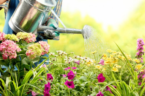 Local gardeners in Wembley maintaining a healthy lawn