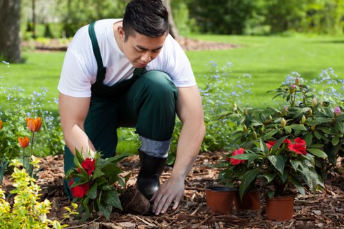 Final stage of a garden service complaints process