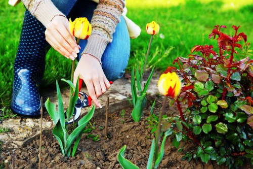 Wembley gardener wearing PPE during outdoor maintenance