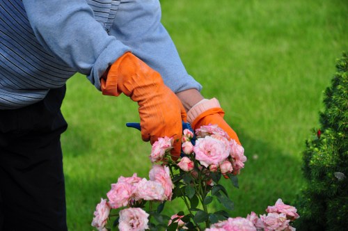 Seasonal lawn mowing care for Wembley properties