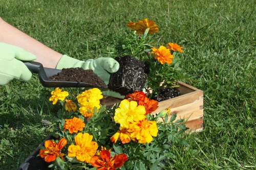 Image representing the annual review of Gardeners Wembley compliance