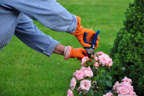 A tree surgeon removing dead branches safely in Wembley