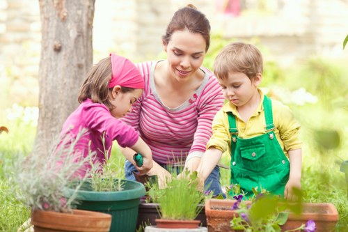 Professional Wembley garden maintenance during spring lawn and plant care
