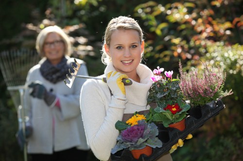 Ongoing Wembley gardening services for beautiful and well-kept gardens