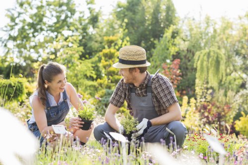 Example of garden maintenance pricing for a residential property in Wembley