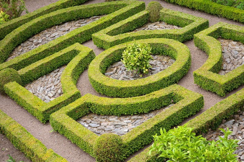 garden yard
